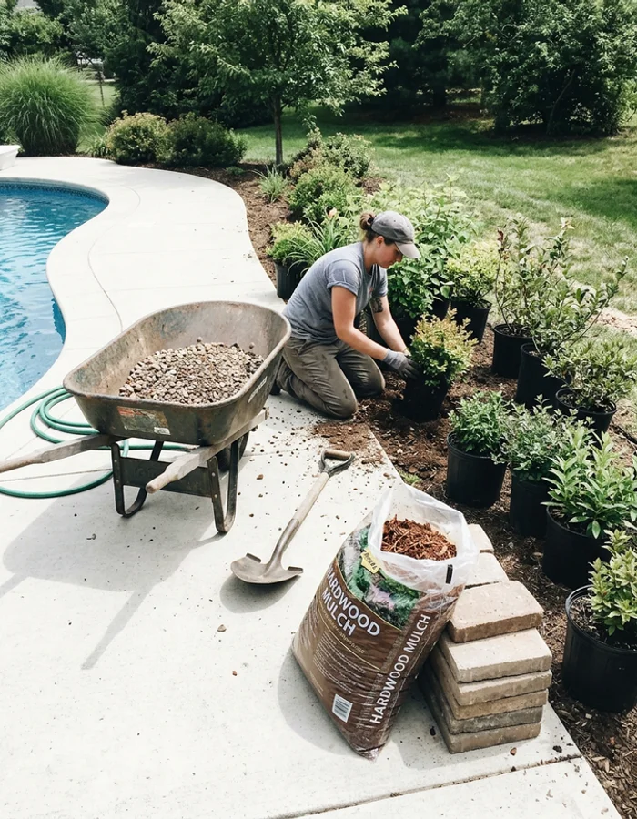 Landscaper setting plants and rock along a finished pool deck